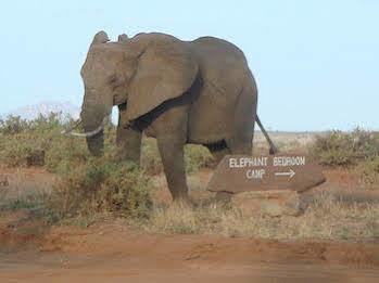 Elephant Bedroom Camp Archers Post Exteriör bild
